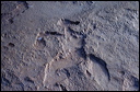 northshore-petroglyph-17