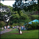 walk-in-waimea-001